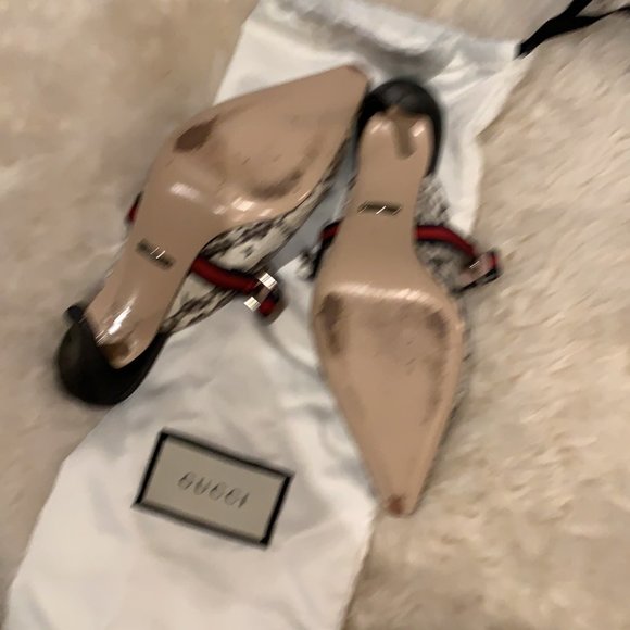 Gucci Horsebit Web Python Leather Mules - Picture 10 of 10